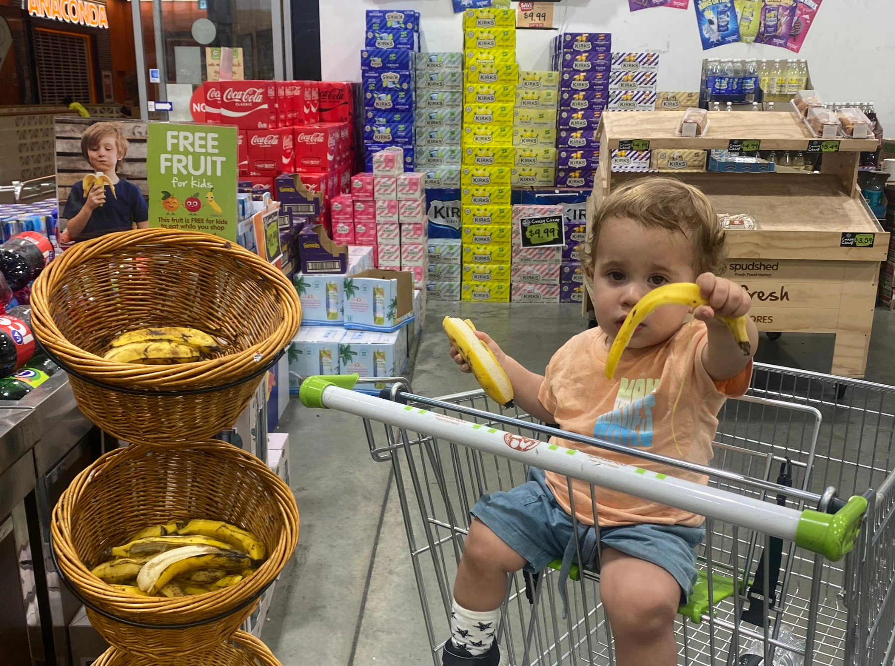 בלוג רביעי: אחרי הנחיתה זה יעבור (או: איך שורדים את השבועיים הראשונים באוסטרליה)