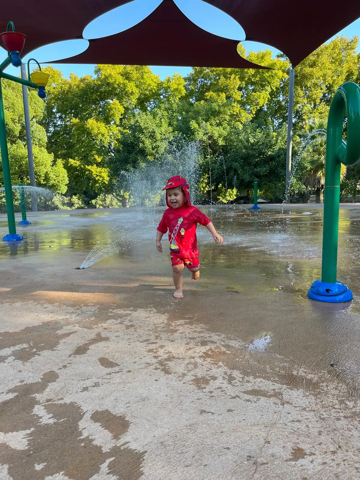 בלוג עשירי: ריטואל הנקניקייה והדשא: פענוח סוף השבוע האוסטרלי המקודש