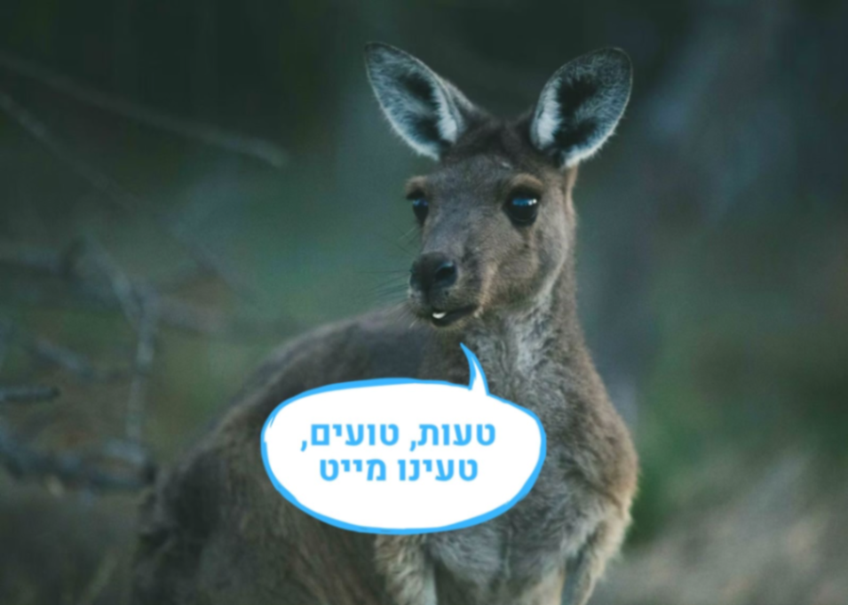 בלוג 100 (50+50): טעויות של מהגרים (או: כל מה שדפקנו בדרך לאוסטרליה כדי שאתם לא תצטרכו)